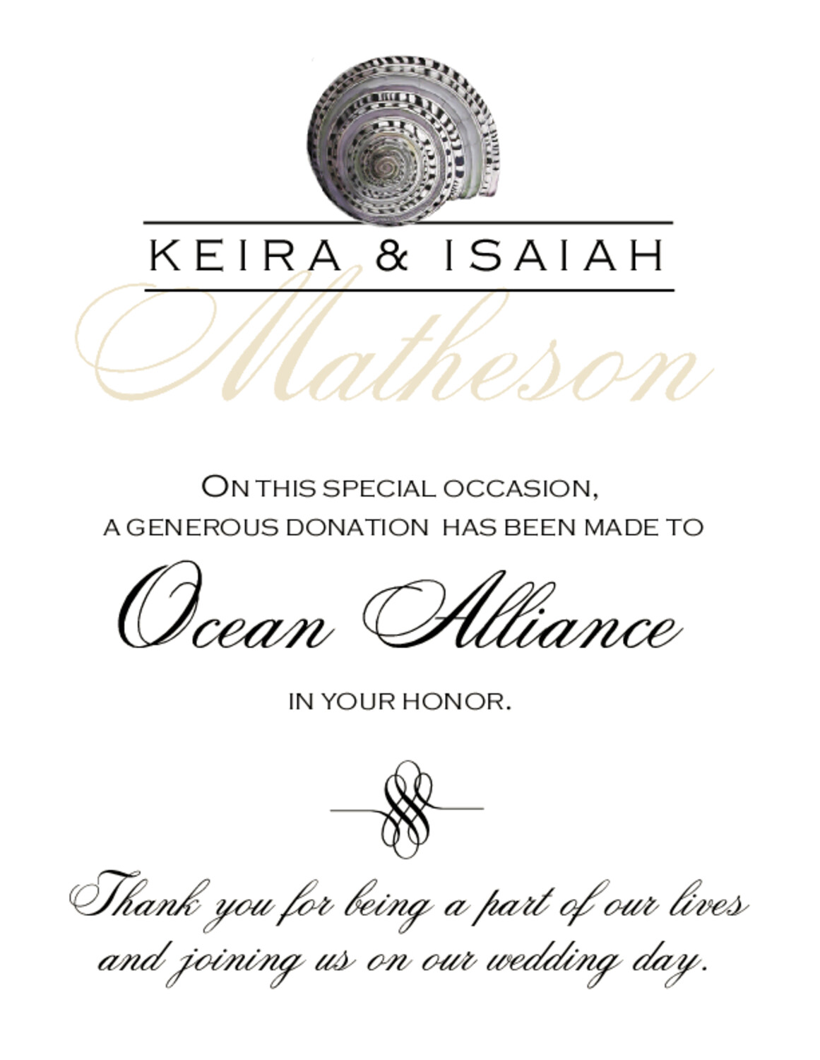 Antique Seashell Collector Beach and Seashell Donation Cards