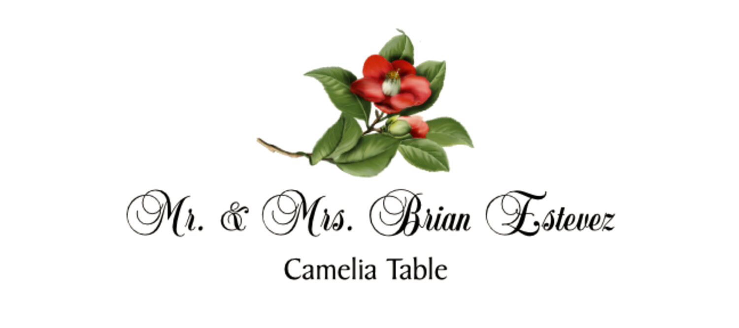 Camellia 01