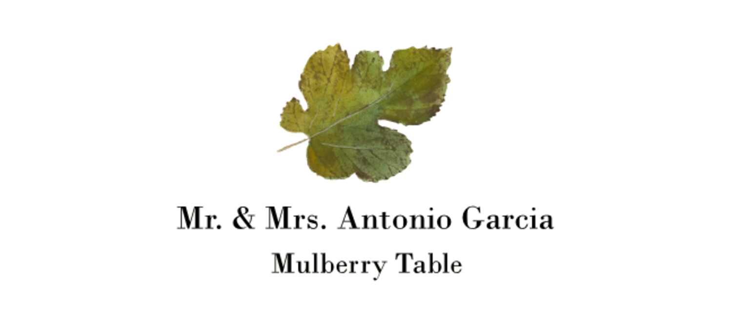 Mulberry Colorful Leaf Autumn/Fall Leaves Place Cards