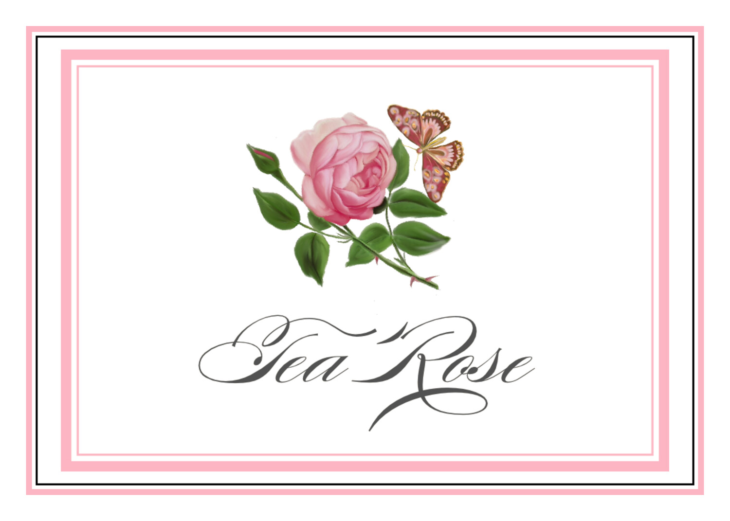 Pink Tea Rose