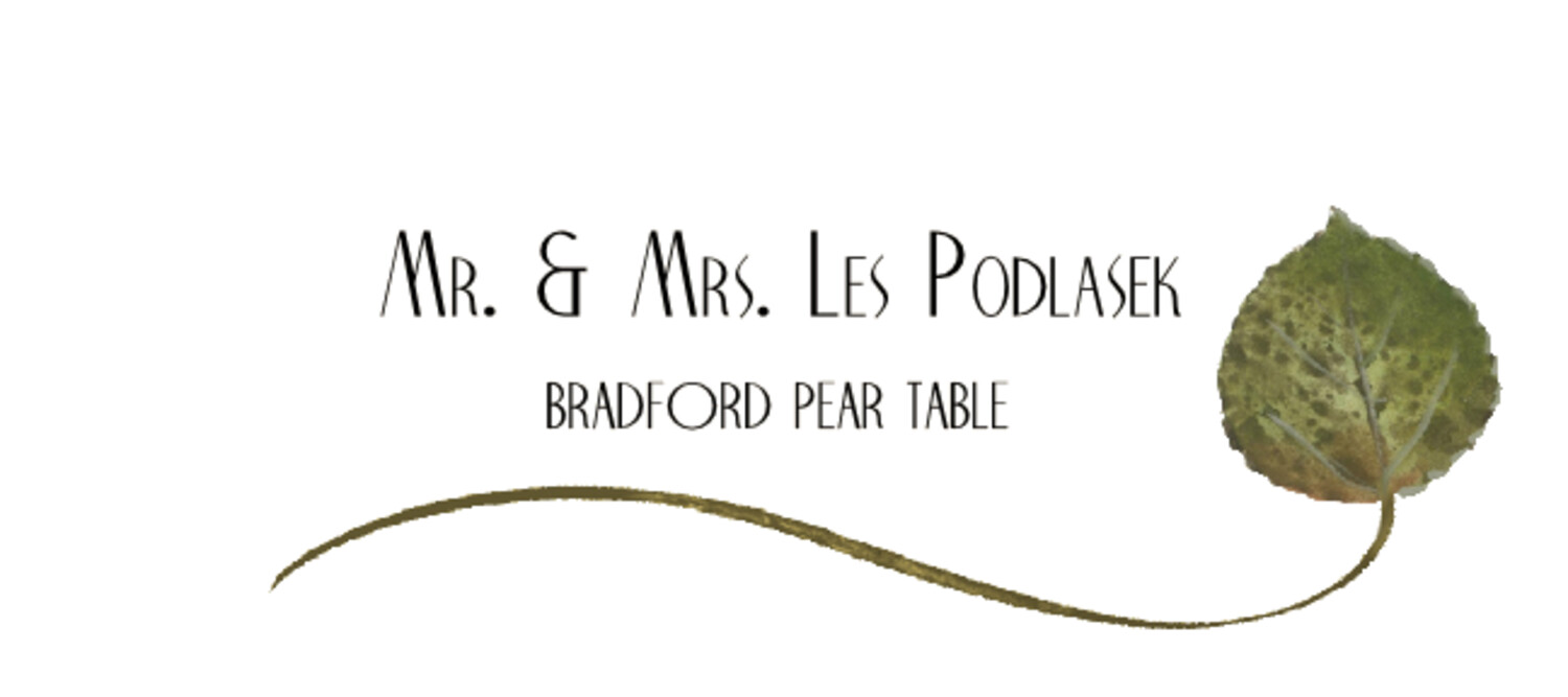 Bradford Pear Wispy Leaf Autumn/Fall Leaves Place Cards