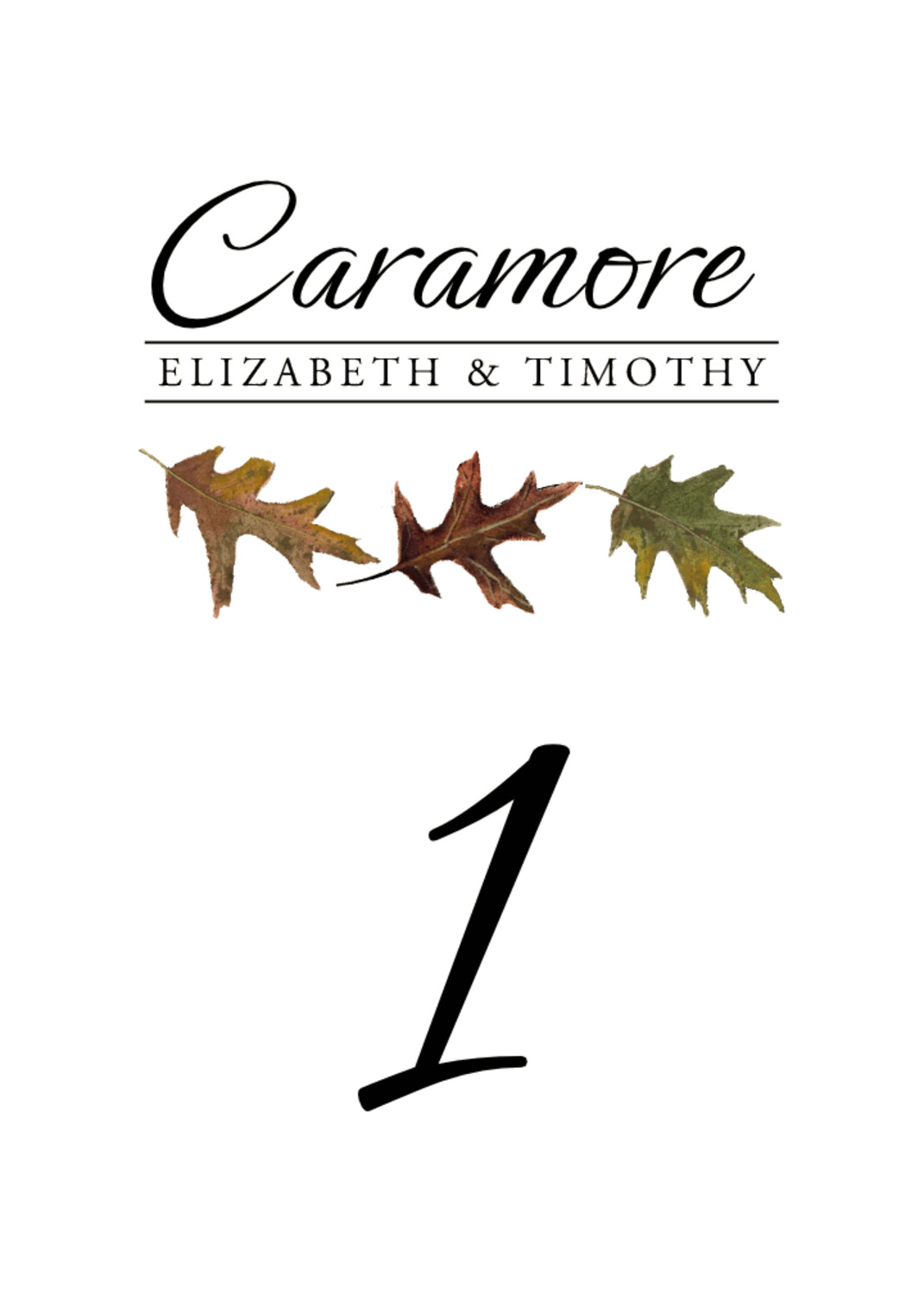 Leaf Pattern Assortment Leaves, Flowers, Vineyard & Grapes Table Numbers