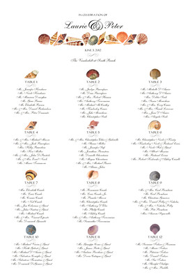Assorted Seashell
