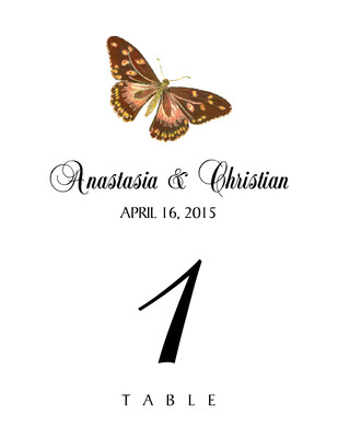 Butterfly Assortment