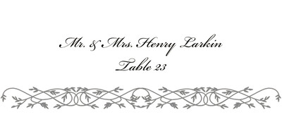 Ornate Line Flourish 0637