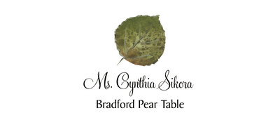 Bradford Pear Colorful Leaf