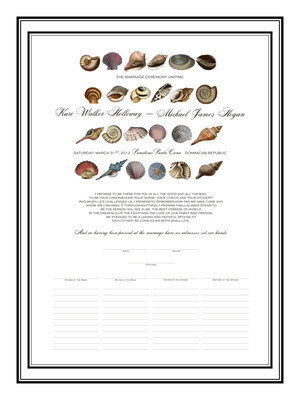 Seashell Collector