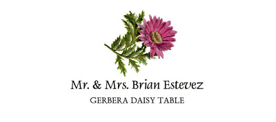 Gerbera Daisy