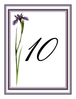 Wispy Iris