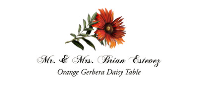Orange Gerbera Daisy