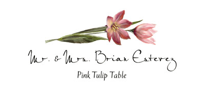Pink Tulip