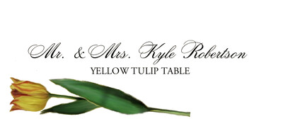 Tulip Bulbs