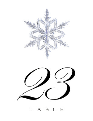 Snowflake 03