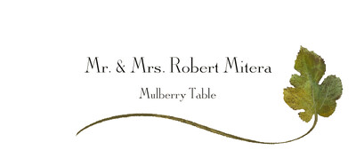 Mulberry Wispy Leaf