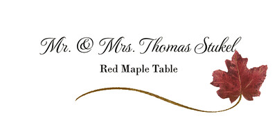 Flourish Monogram Script