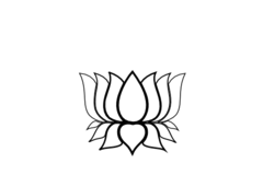Lotus Flower