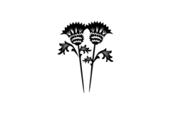 Scottish Thistle