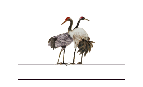 Monogram: Compassionate Cranes Chinese Monogram