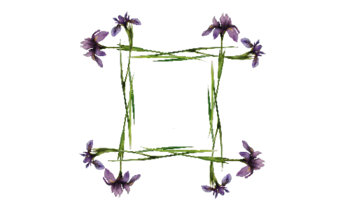 Monogram: Iris Square Chinese Monogram