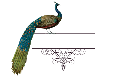 Monogram: Peacock Flourish Indian Monogram