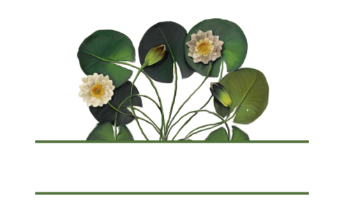 Monogram: Waterlily Patch Botanical Monogram