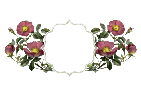 Monogram: Wild Pink Rose Frame