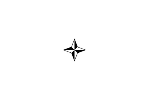 Flourish #0529