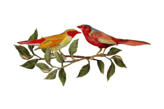 Two Red Birds Birds and Butterflies Wedding Illustration