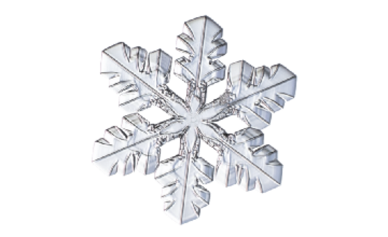 Snowflake 02 Winter and Holiday Wedding Illustration