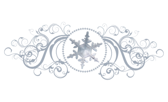 Snowflake Pattern 06 Winter and Holiday Wedding Illustration