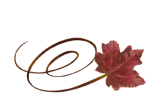 Swirly Red Maple Leaf Spring Flowers, Autumn Leaves, Grapes Wedding Illustration