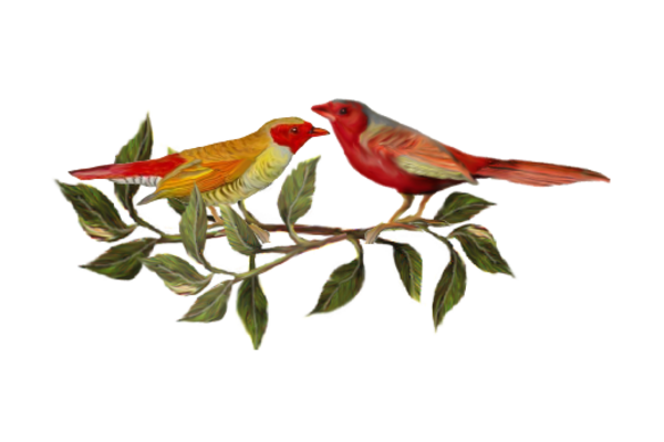 Birds and Butterflies Two Red Birds Artwork