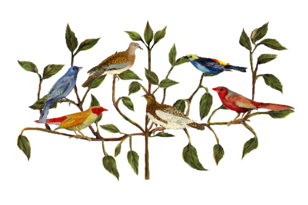 Birds and Butterflies Birds and Branches Artwork