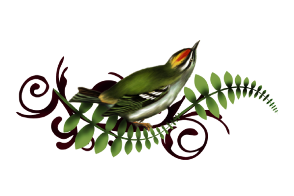 Birds and Butterflies Petey Boy Artwork