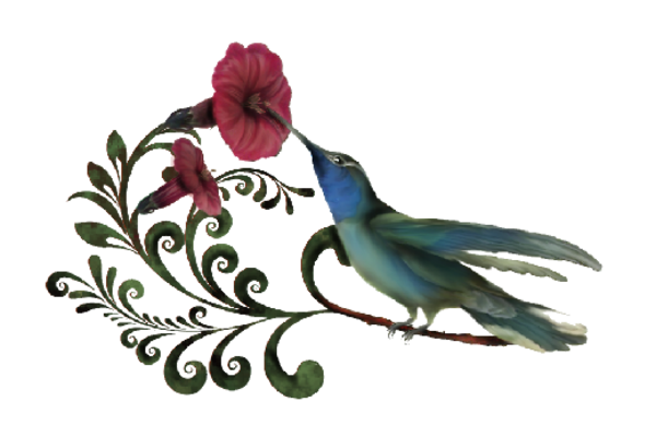 Birds and Butterflies Humdilly Artwork