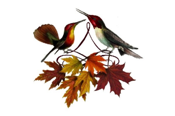 Birds and Butterflies Gershwin and Giggles Artwork