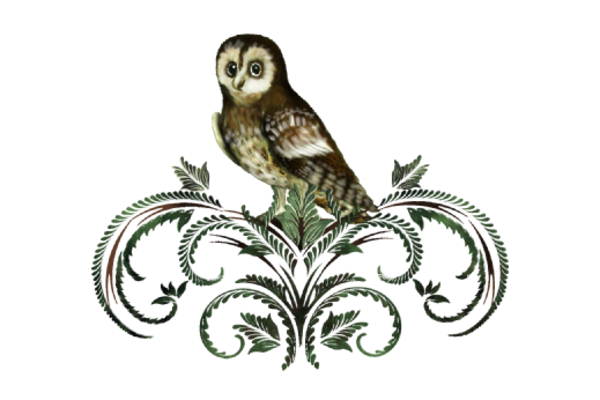 Birds and Butterflies Sir Hooterton Artwork