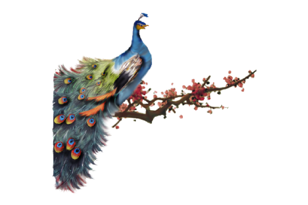 Birds and Butterflies Cherry Peacock Artwork