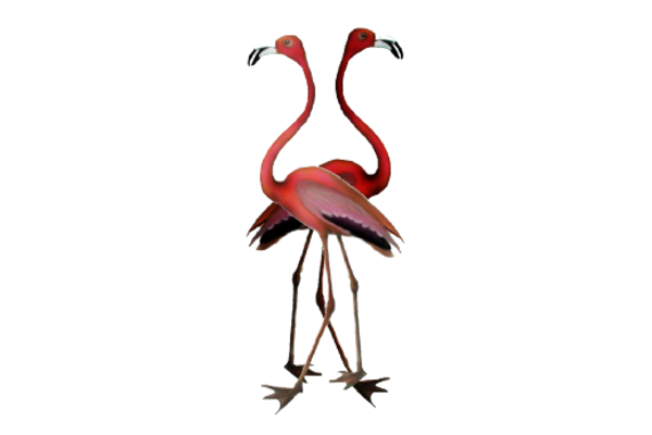Birds and Butterflies Flamingos Artwork