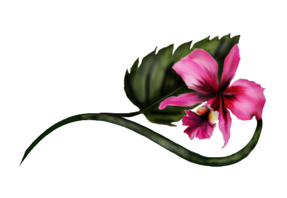 Spring Flowers, Autumn Leaves, Grapes Boat Orchid Artwork