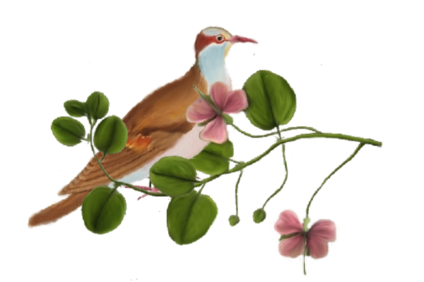 Birds and Butterflies Brown Bird 03 Artwork