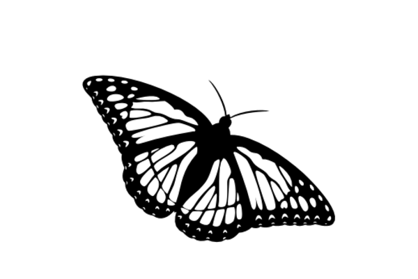 Birds and Butterflies Butterfly Drawing 07 Artwork