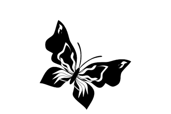 Birds and Butterflies Butterfly Drawing 19 Artwork