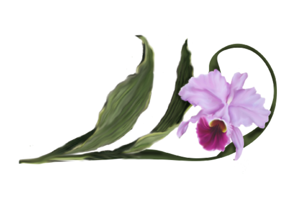 Spring Flowers, Autumn Leaves, Grapes Cattleya Orchid Artwork