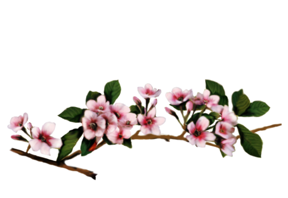 Spring Flowers, Autumn Leaves, Grapes Cherry Blossoms Artwork