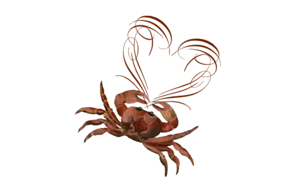 Seashells, Fish, and Beach Crab Love Artwork