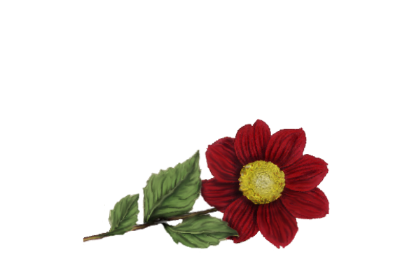 Spring Flowers, Autumn Leaves, Grapes Dalia Artwork