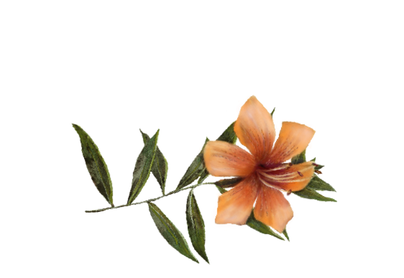 Spring Flowers, Autumn Leaves, Grapes Daylily Artwork