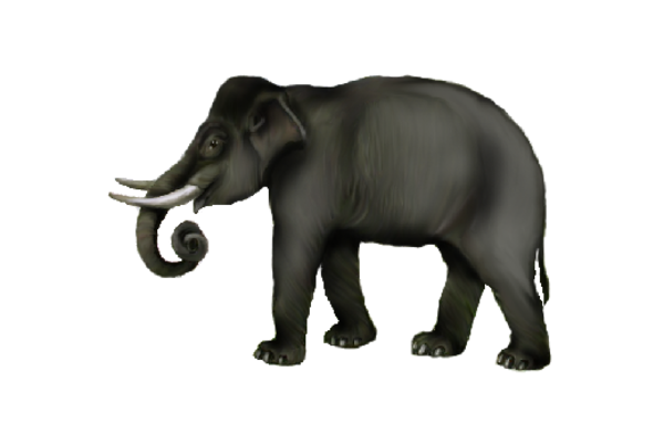 Spring Flowers, Autumn Leaves, Grapes Elephant Artwork