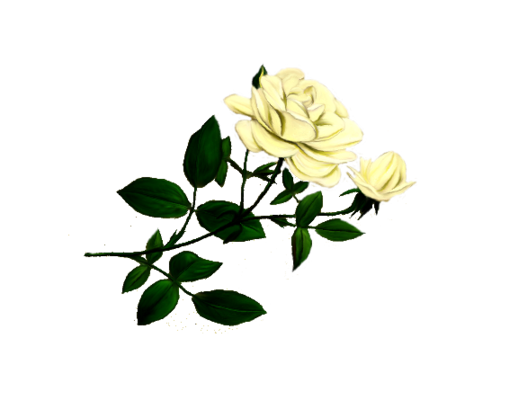 Spring Flowers, Autumn Leaves, Grapes Dutchess Rose Artwork